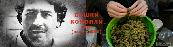 ALPHA PVP Осинники