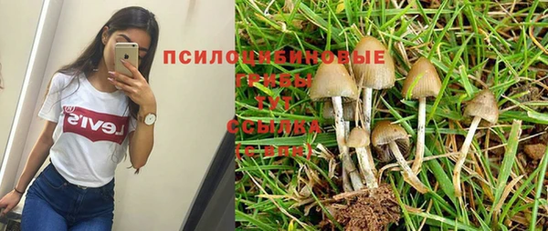 метадон Осташков