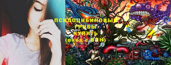 метадон Осташков