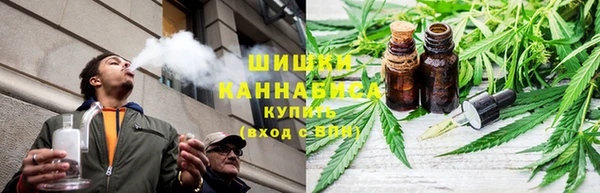 ALPHA PVP Осинники