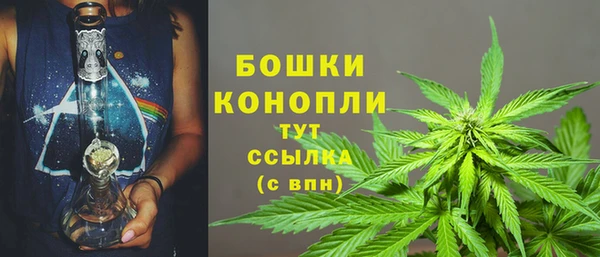метадон Осташков