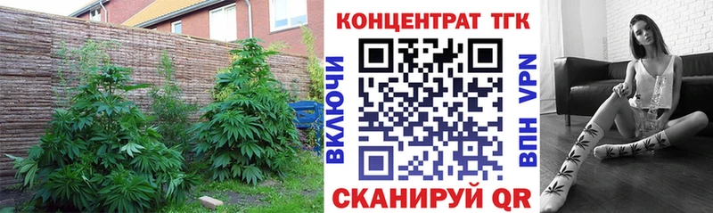 наркошоп  Аткарск  hydra ссылки  Дистиллят ТГК концентрат 